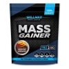 Mass Gainer 2кг Шоколад